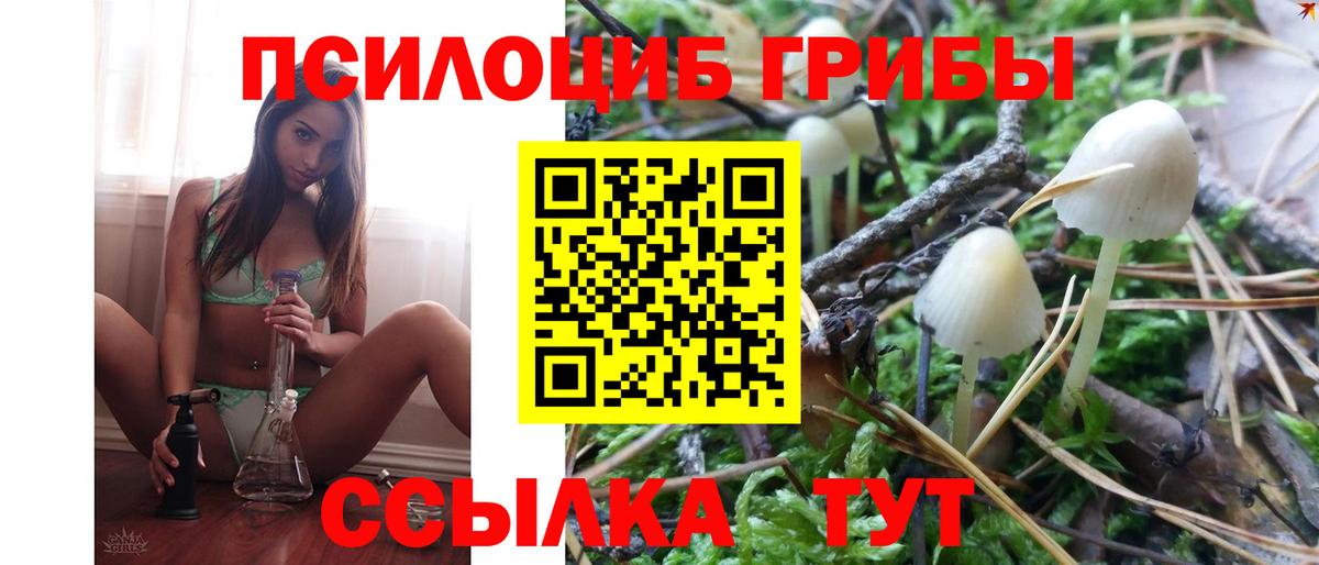 Псилоцибиновые грибы мицелий  Вход с VPN  Ноябрьск 